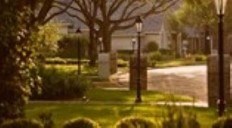 an image of front lawn view with a lamp post in the middle and some trees and bushes around it